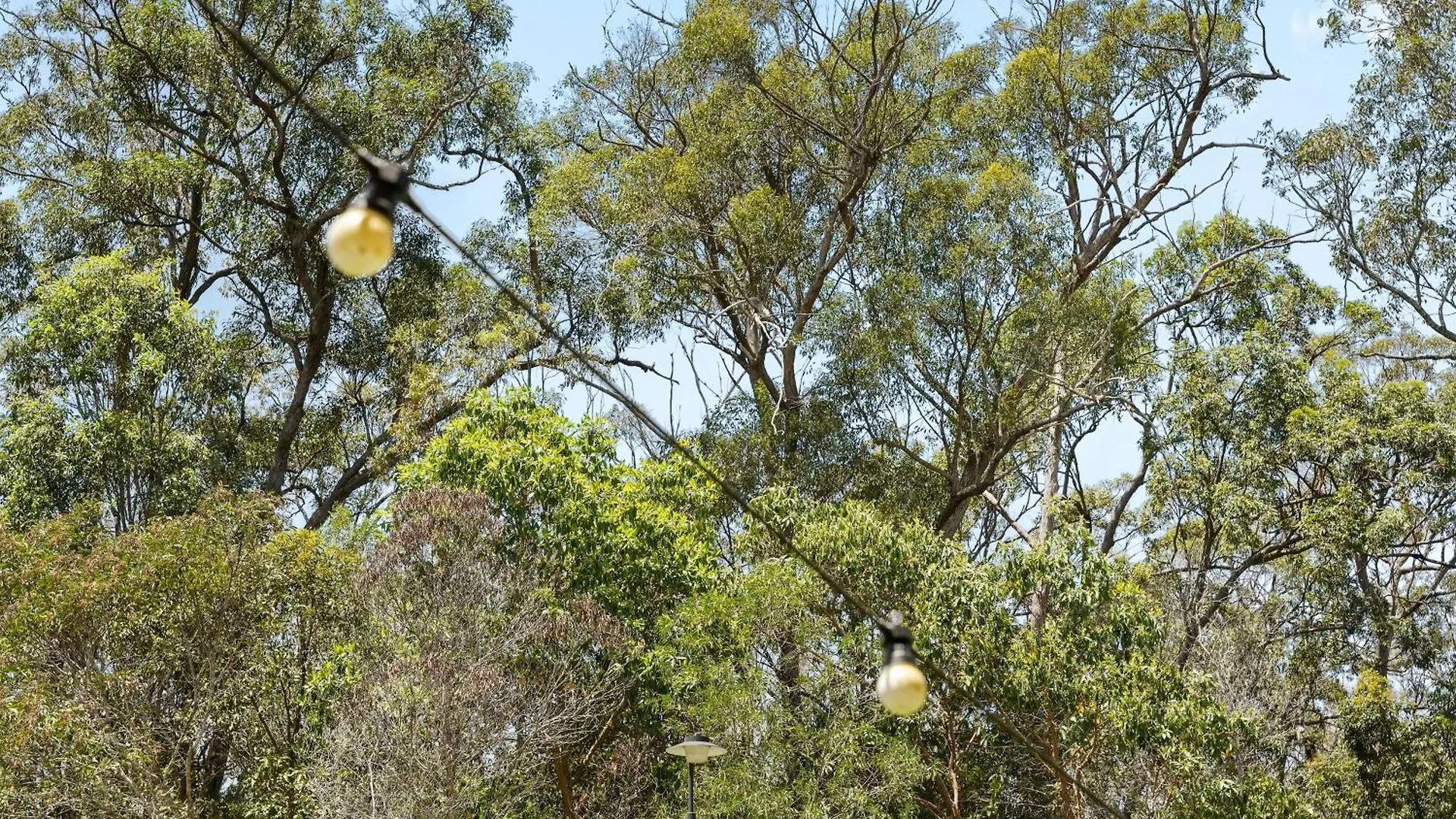 5Bdr 2Bth Bushland Home Coomera 0*,